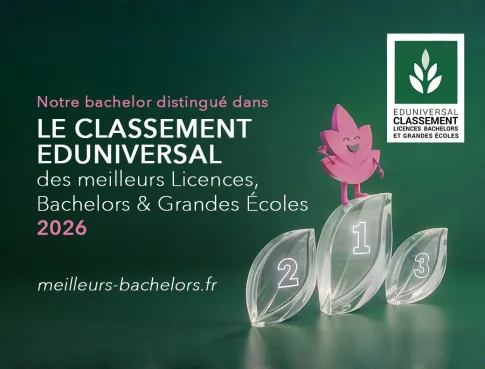 Le Bachelor Achat dans le classement Eduniversal